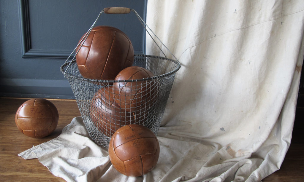 Leather Medicine Balls quintessential duckeggBLUE