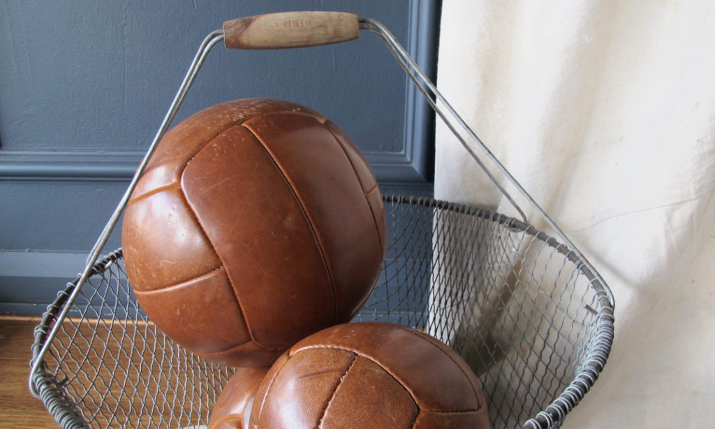 Leather Medicine Balls quintessential duckeggBLUE