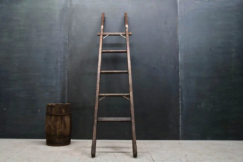 ladder-24