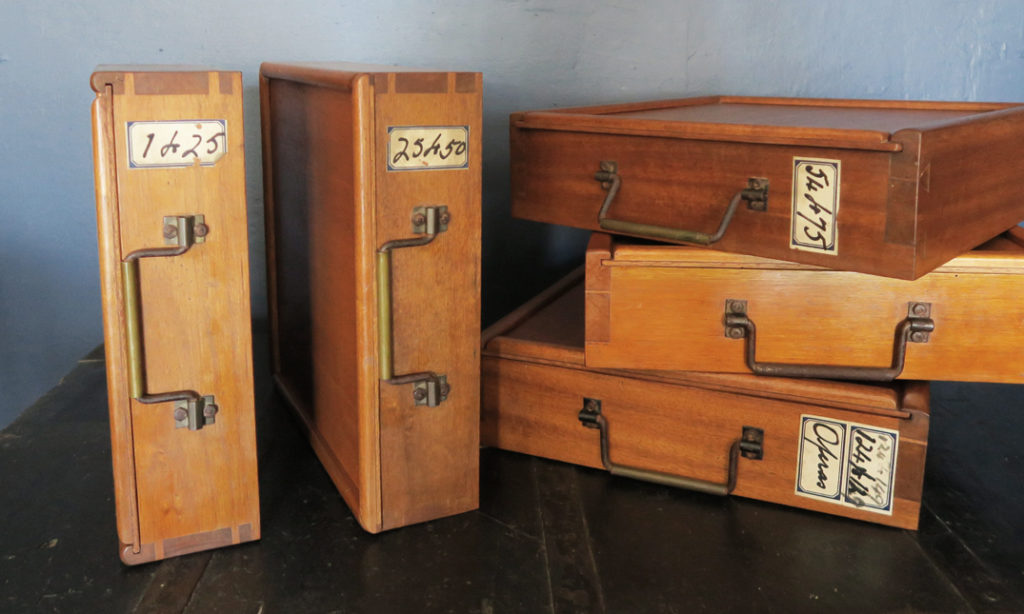 Timber Filing Boxes quintessential duckeggBLUE